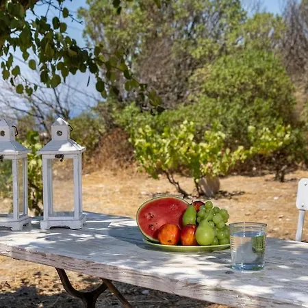 Feriehus - Cycladic Stone House Ano Syros